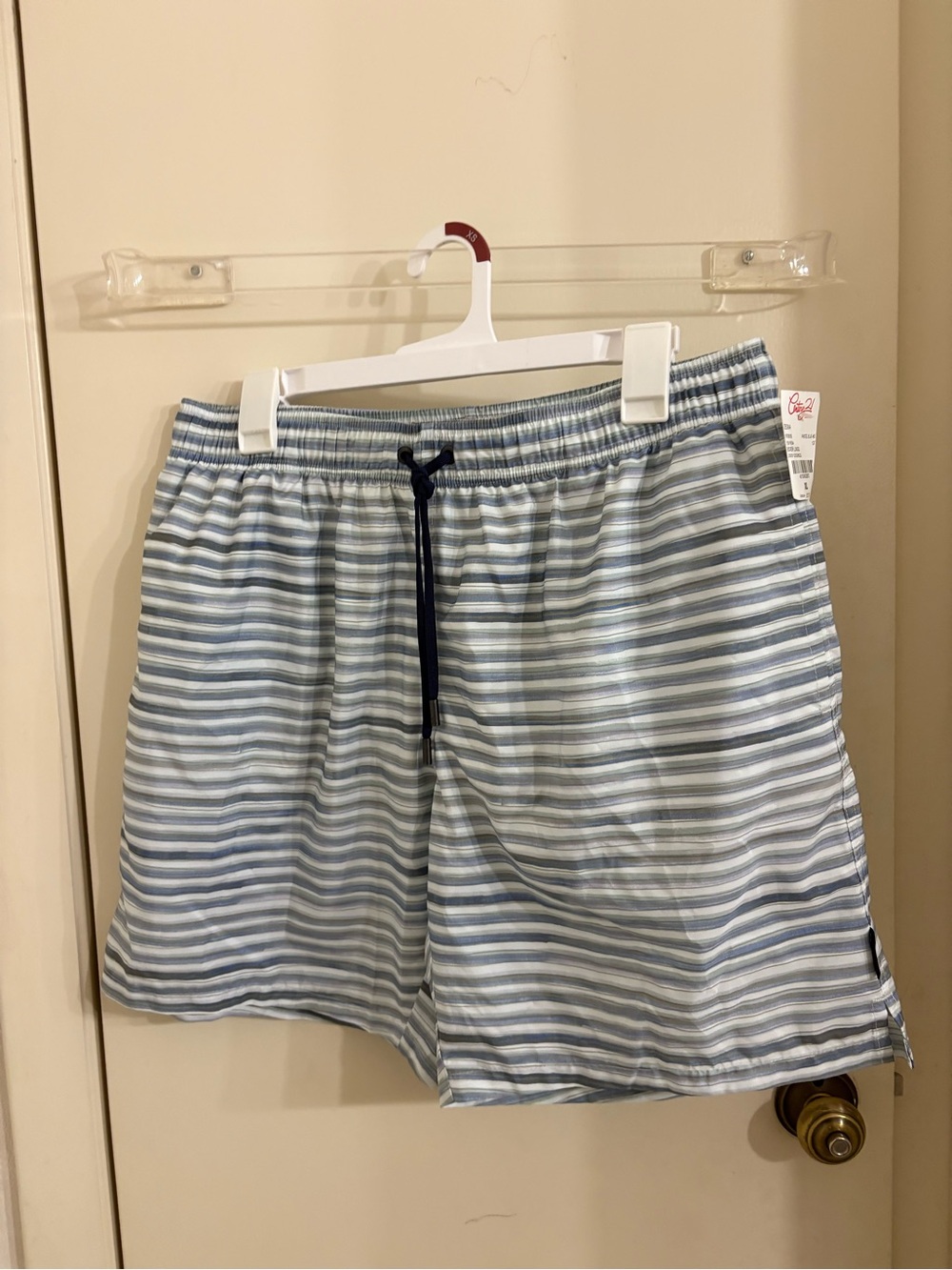 Ermenegildo Zegna Light Blue and White Striped Swim Trunks NWT